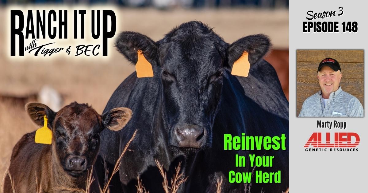 WEBSITE RIU S3 E148 Cow Herd Reinvestment Jeff Erhardt Tigger Rebecca Wanner BEC Marty Ropp Allied Genetic Resources