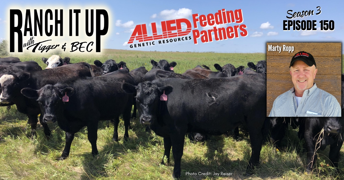 WEBSITE RIU S3 E150 Cattle Genetic Programs Jeff Erhardt Tigger Rebecca Wanner BEC Marty Ropp Allied Genetic Resources Stockmens Livestock Market Recap