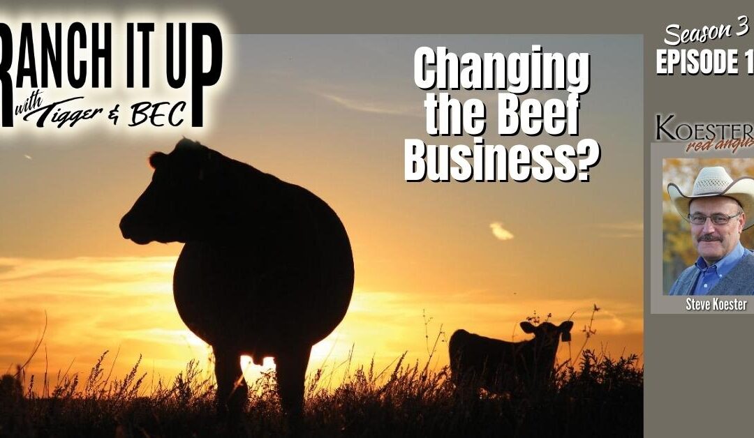 Who Makes Change Happen In The Beef Business? Answers Here!