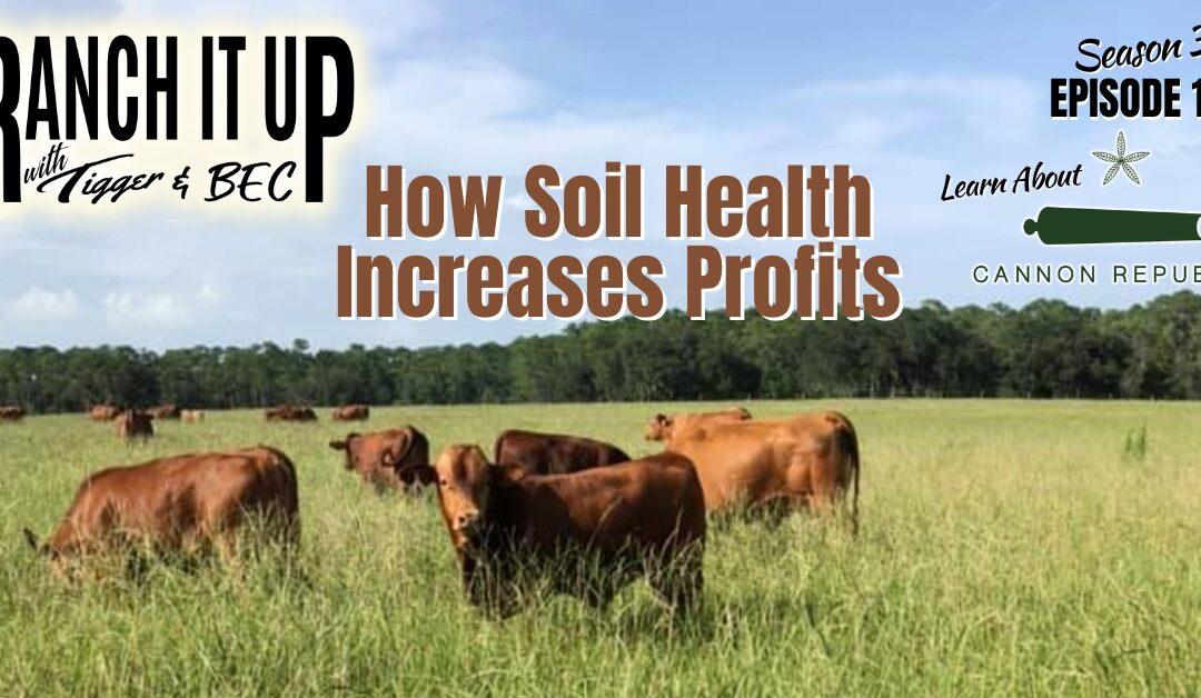 How To Improve Soil To Increase Profits