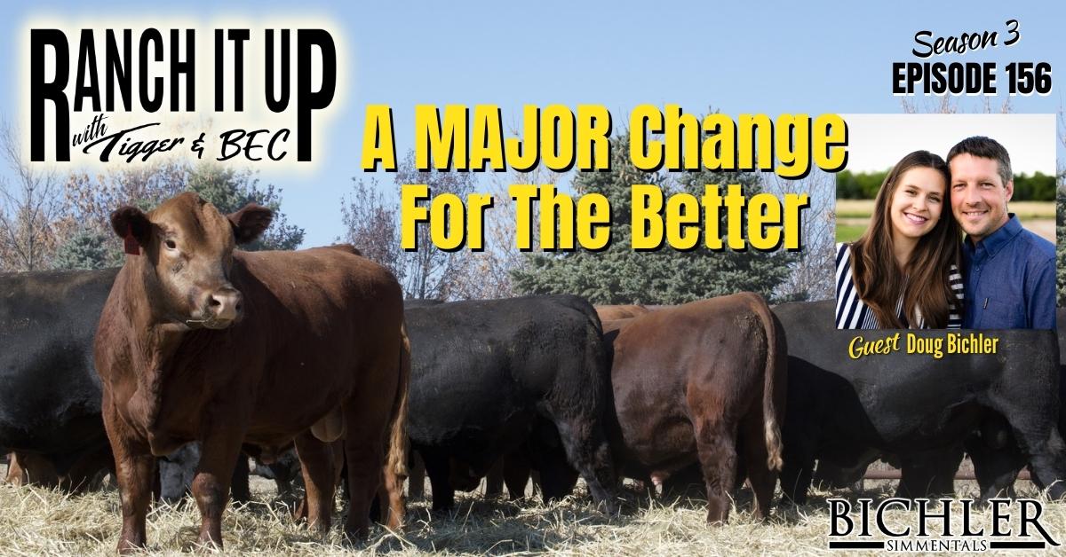 How To Raise Fall Yearling Bulls