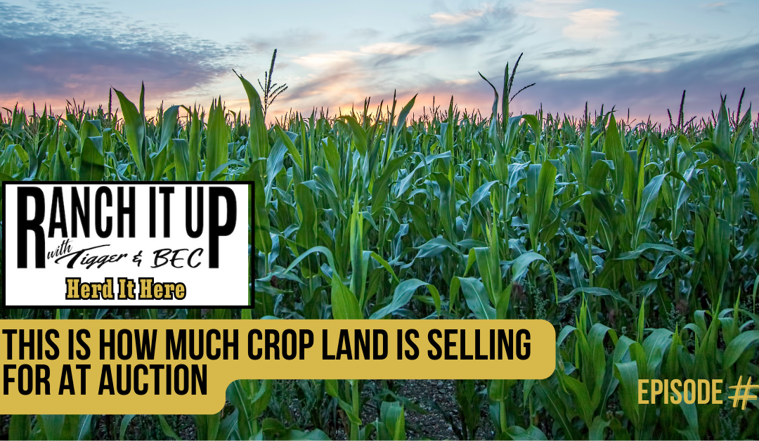 This Is How Much Crop Land Is Selling For At Auction