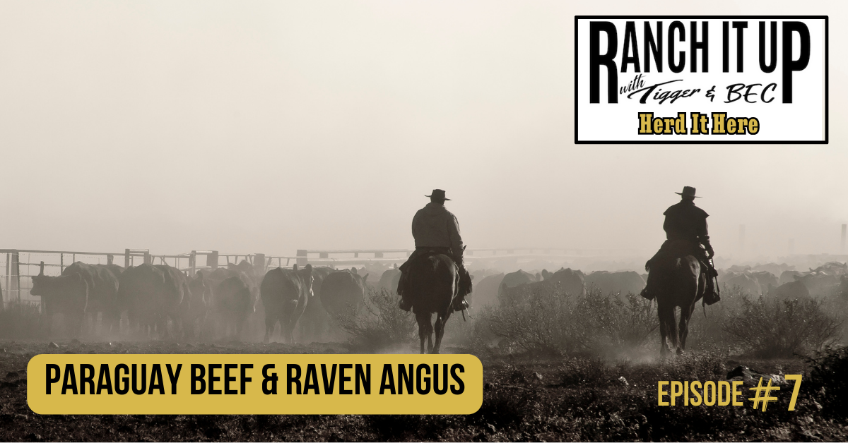 Ranch It Up Herd It Here Weekly Report - Paraguay Beef & Raven Angus