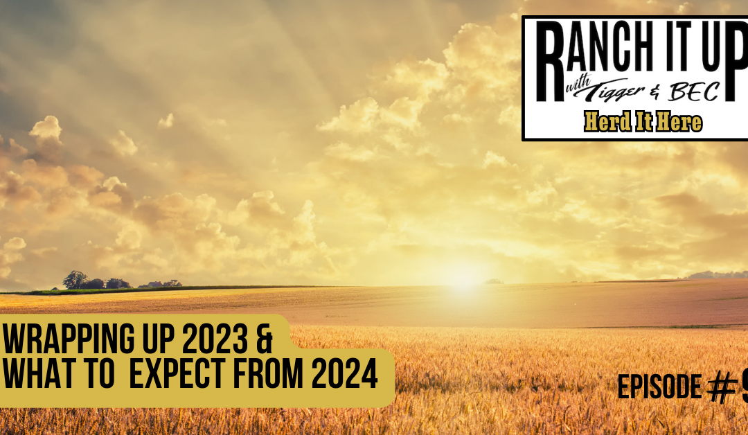 Wrapping Up 2023 & What To Expect From 2024