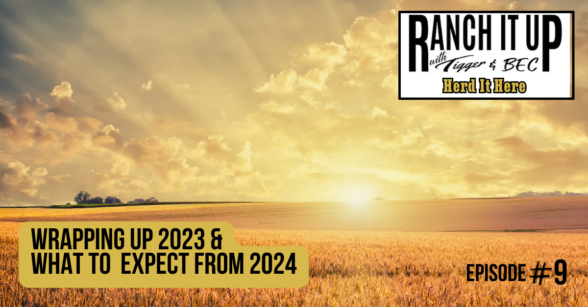 Wrapping Up 2023 & What To Expect From 2024