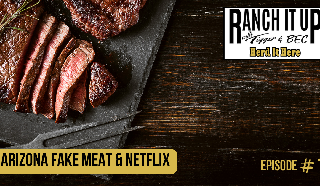 Arizona Fake Meat & Netflix