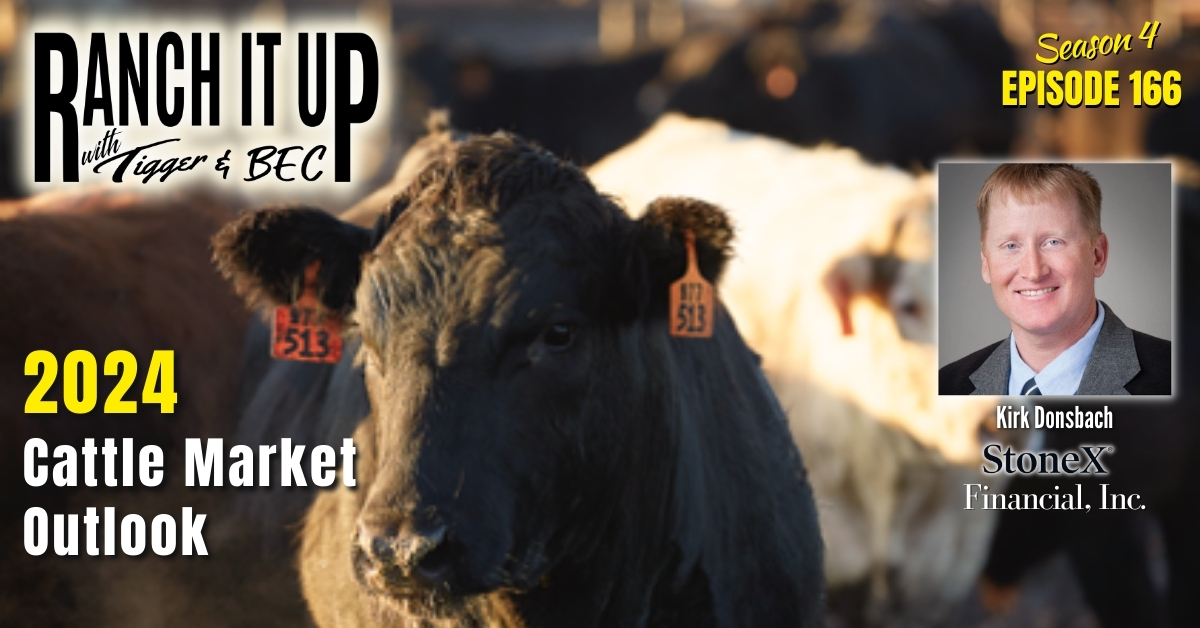 Find Out What Could Happen To The 2024 Cattle Market