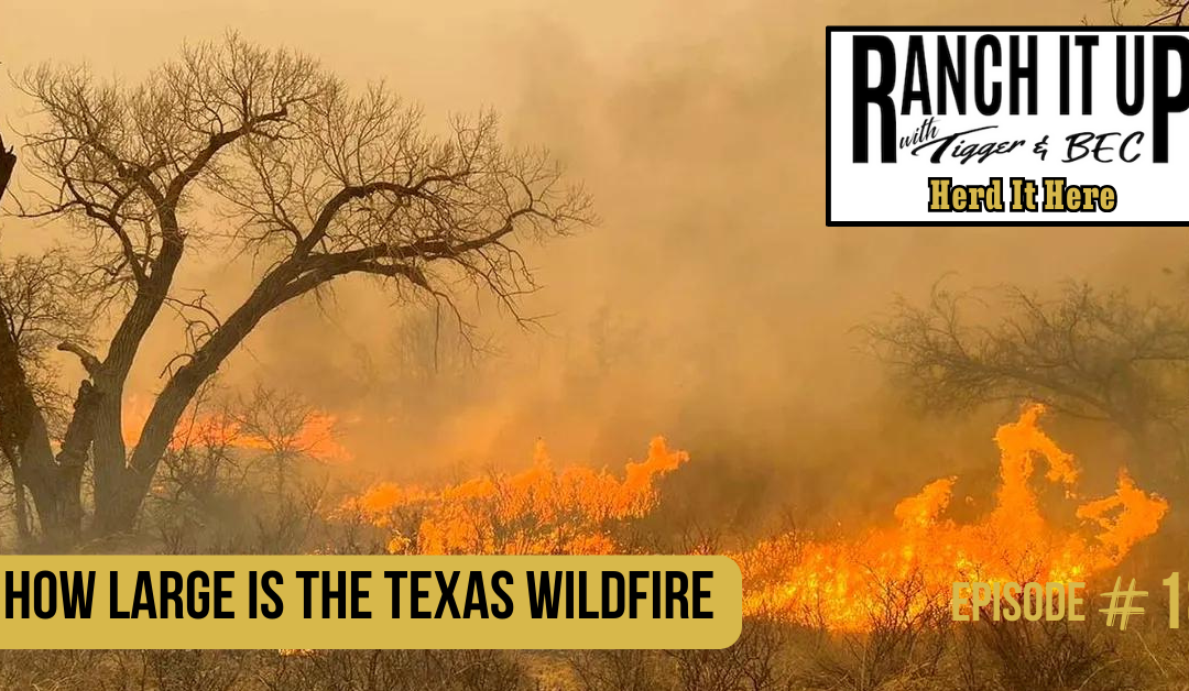 How Large Is The Texas Wildfire