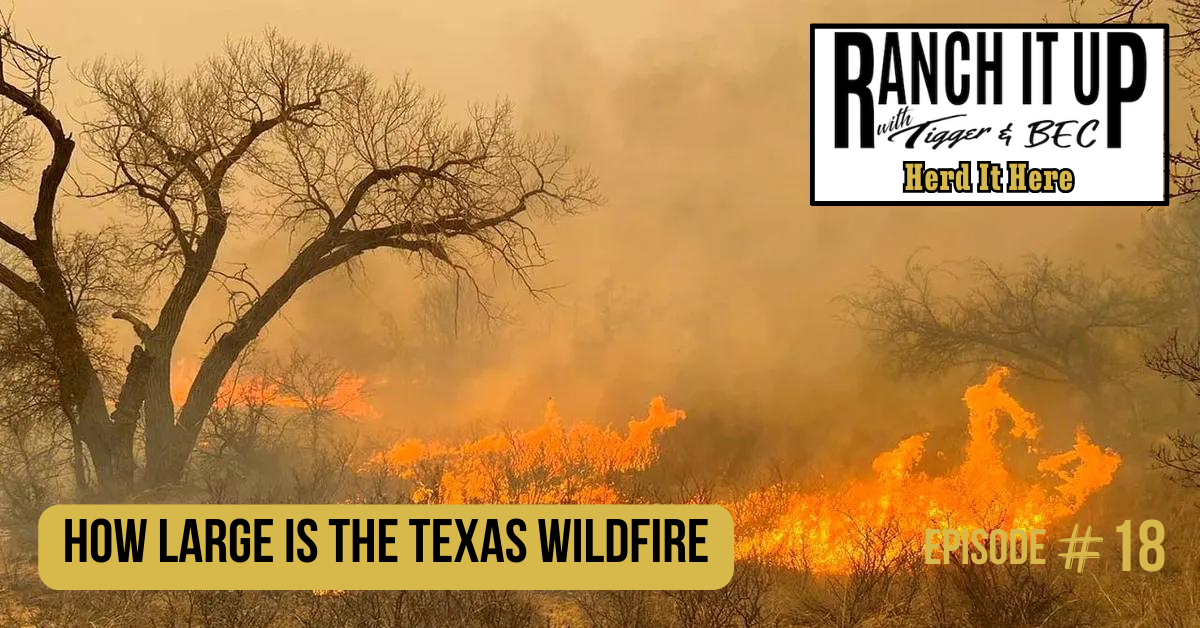 Ranch It Up Herd It Here Weekly Report -How Large Is The Texas Wildfire
