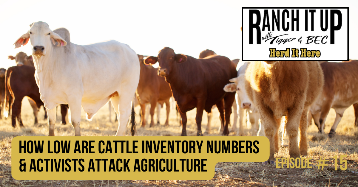 How Low Are Cattle Inventory Numbers & Activists Attack Agriculture
