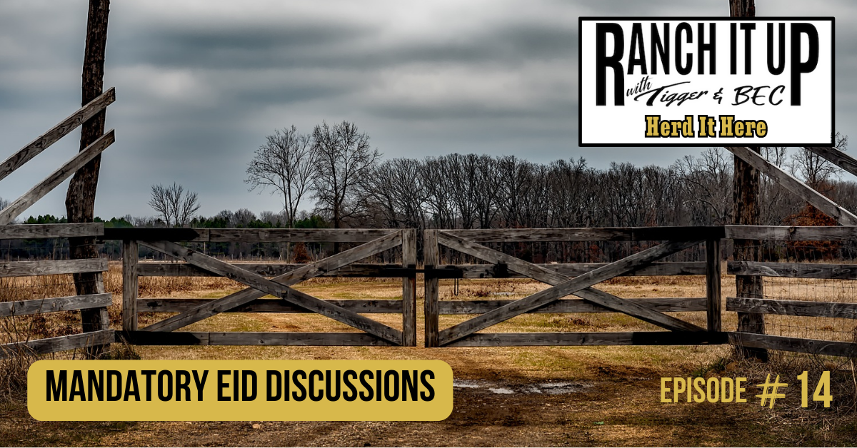 Ranch It Up Herd It Here Weekly Report -Mandatory EID Discussions