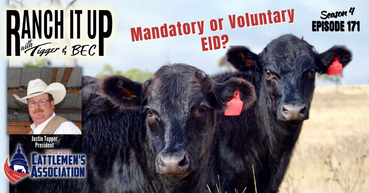 Mandatory Or Voluntary Electronic Identification In Cattle
