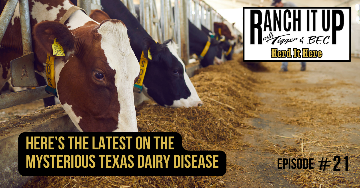 Ranch It Up Herd It Here Weekly Report -Here’s The Latest On The Mysterious Texas Dairy Disease