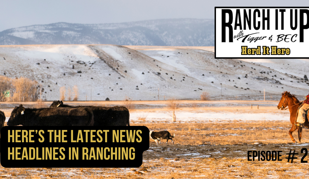 Here’s The Latest News Headlines In Ranching