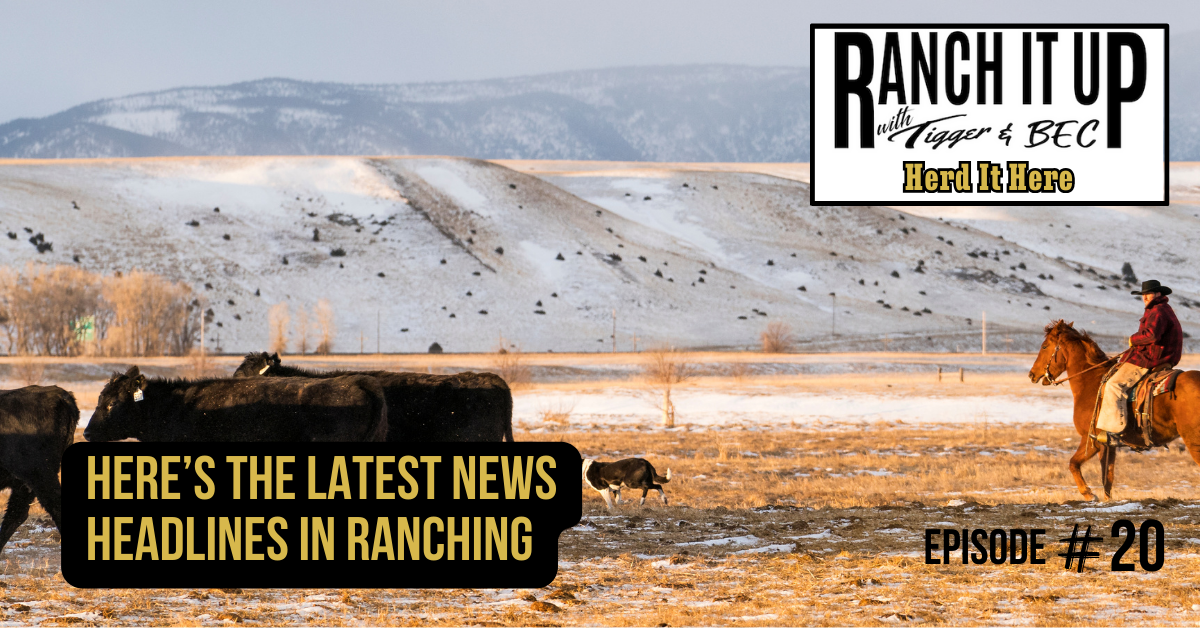 Here’s The Latest News Headlines In Ranching