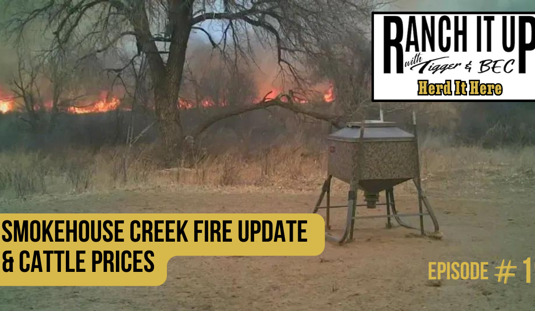 Smokehouse Creek Fire Update & Cattle Prices