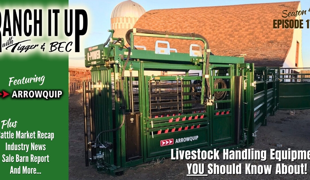 Livestock Handling Equipment You Should Know About