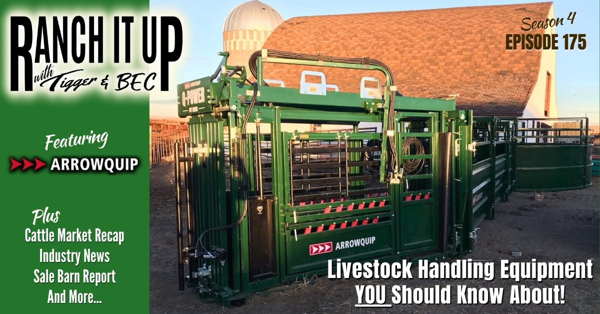 Livestock Handling Equipment You Should Know About