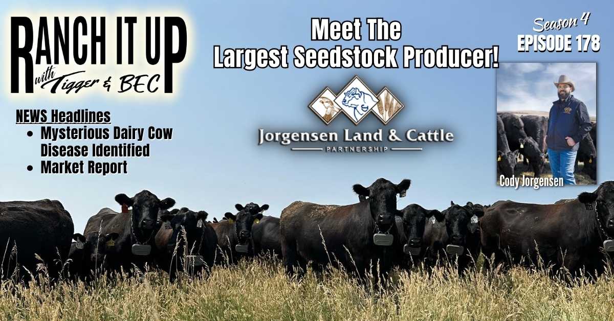 WEBSITE Ranch It Up S4 E178 Dairy Cow Disease Identified Cattle Market News Jeff Erhardt Tigger Rebecca Wanner BEC Cody Jorgensen Land & Cattle
