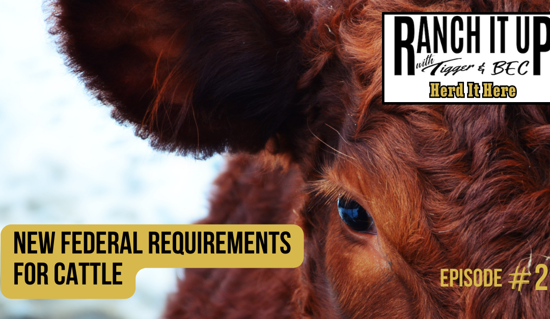 New Federal Requirements For Cattle