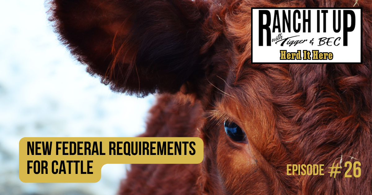 Ranch It Up Herd It Here Weekly Report - New Federal Requirements For Cattle