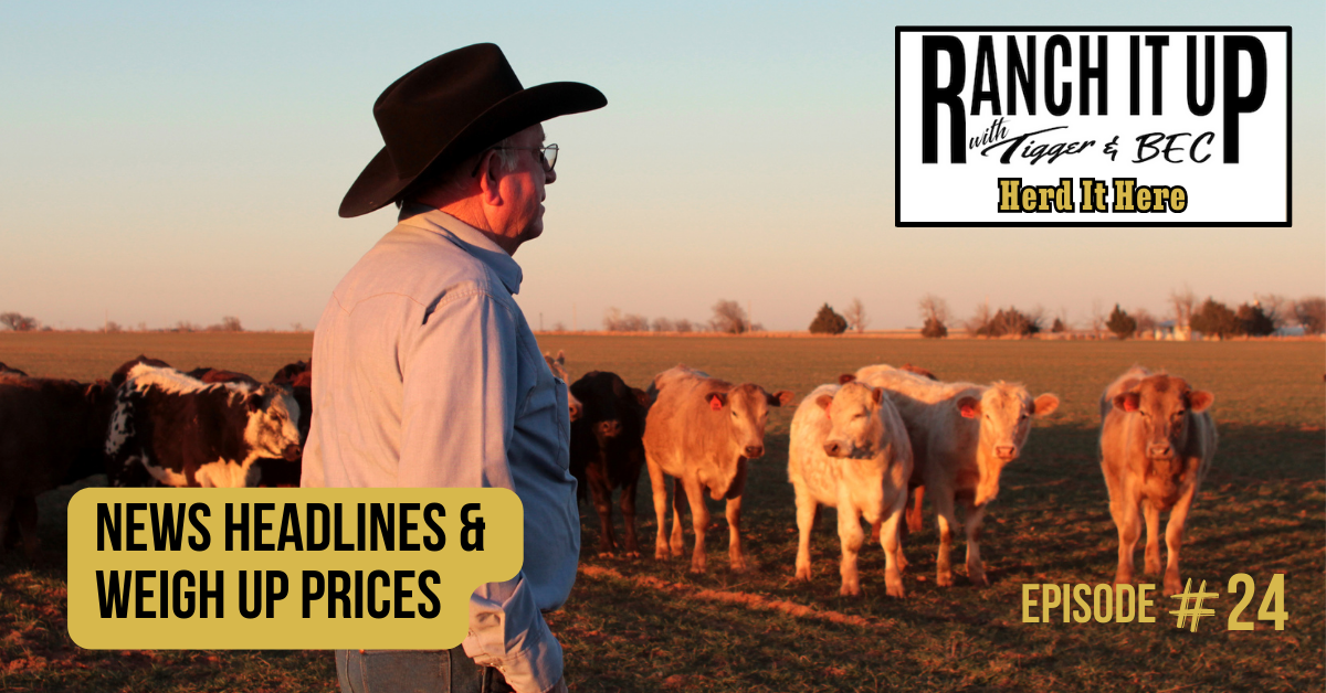 Ranch It Up Herd It Here Weekly Report - News Headlines & Weigh Up Prices