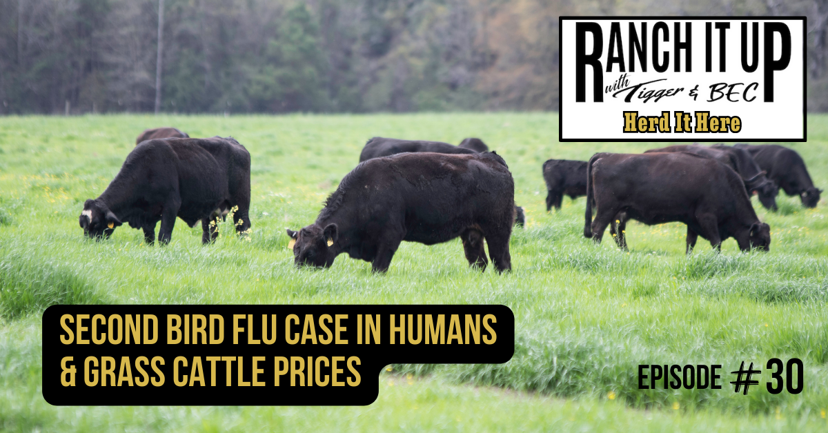 Ranch It Up Herd It Here Weekly Report - Second Bird Flu Case In Humans & Grass Cattle Prices