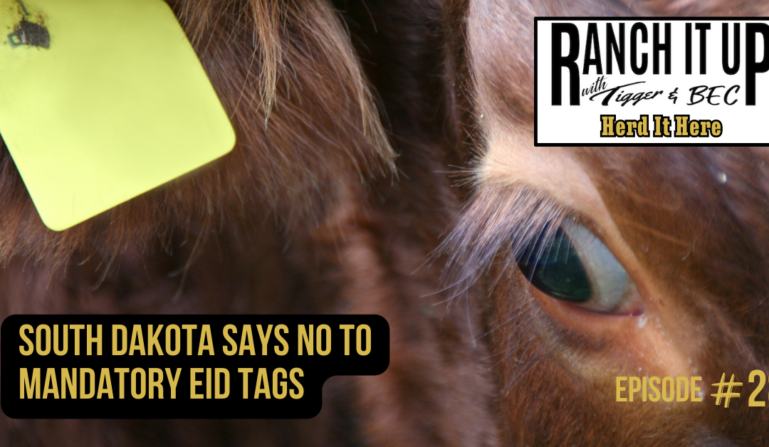 South Dakota Says No To Mandatory EID Tags
