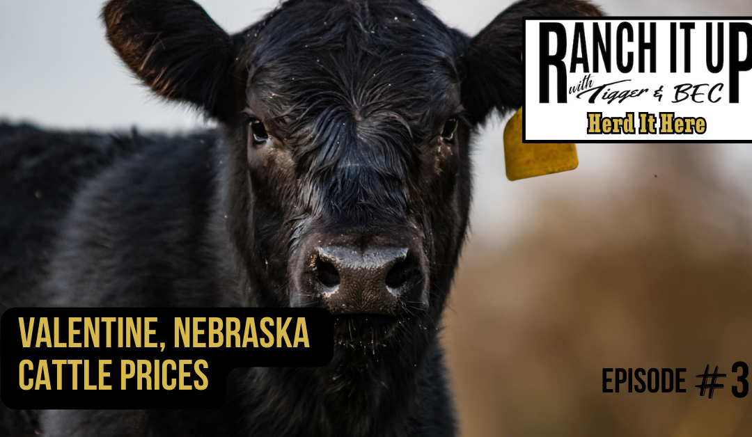 Valentine, Nebraska Cattle Prices