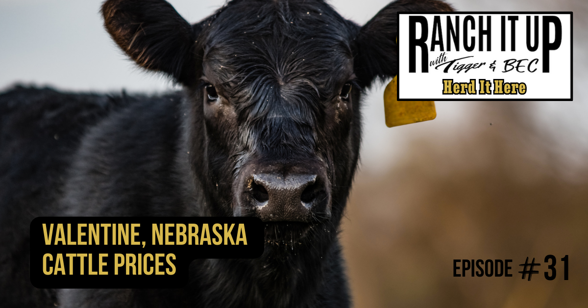 Ranch It Up Herd It Here Weekly Report - Valentine, Nebraska Cattle Prices