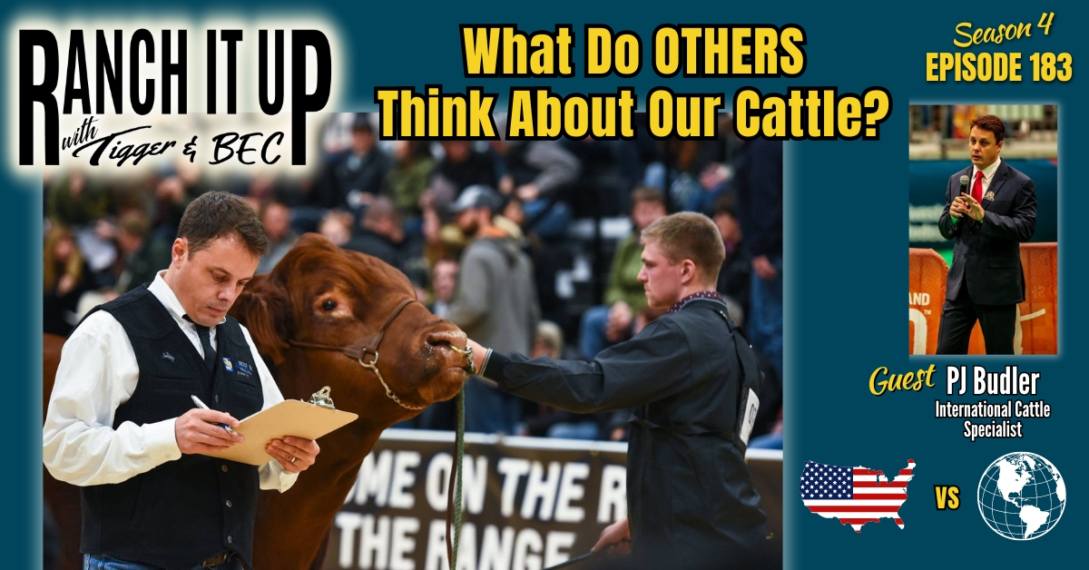 What Do Others Think About Our Cattle