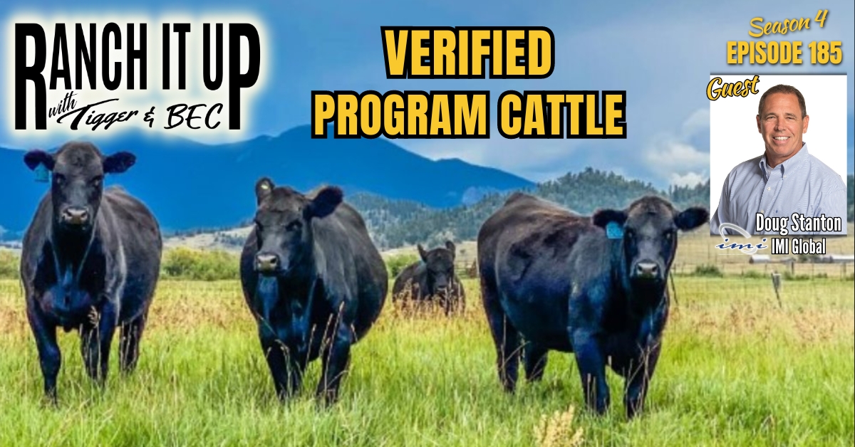 Program Cattle, Traceability, EID Tags. Worth It?