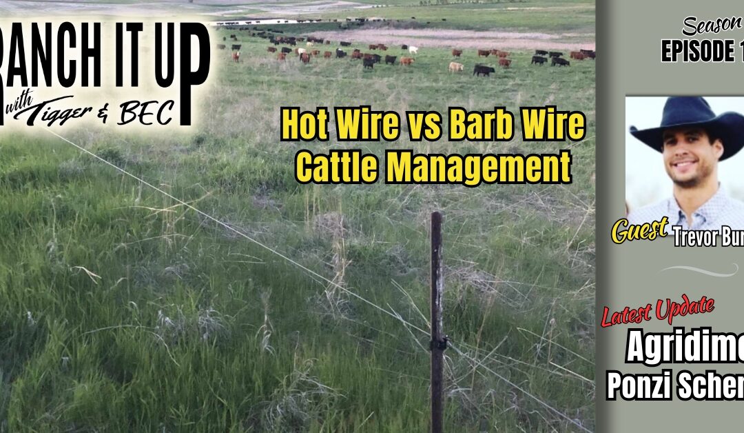 Hot Wire Cattle Management & Agridime Ponzi Scheme News