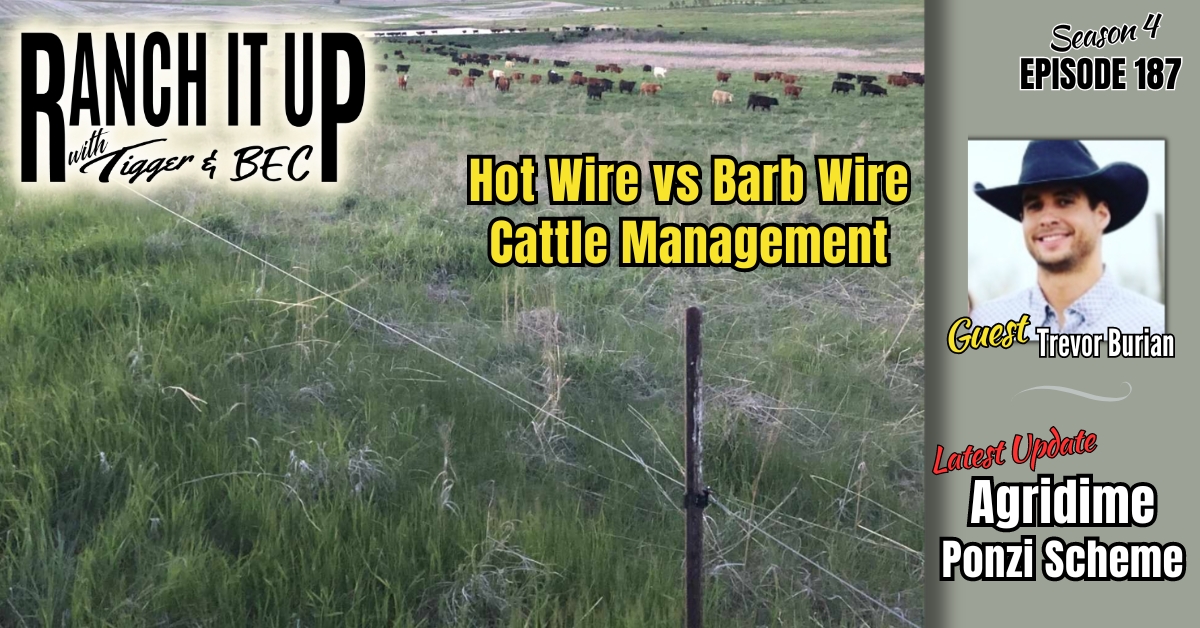 WEBSITE Ranch It Up Radio Show S4 E187 Agridime Cattle Ponzi Scheme News & Markets Jeff Erhardt Tigger Rebecca Wanner BEC. Hot vs barb wire cattle management. Trevor Burian