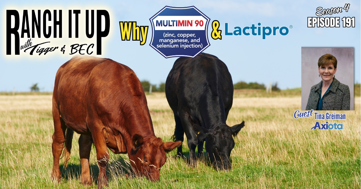 WEBSITE Ranch It Up Radio Show S4 E191 Feeding cattle trace minerals. Beef Industry News & Markets Jeff Erhardt Tigger Rebecca Wanner BEC. Multimin Axiota Lactipro Tina Greiman
