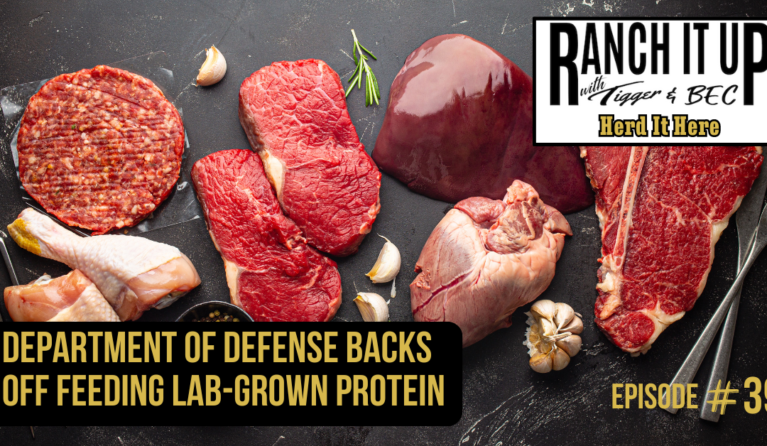 Department Of Defense Backs Off Feeding Lab-Grown Protein