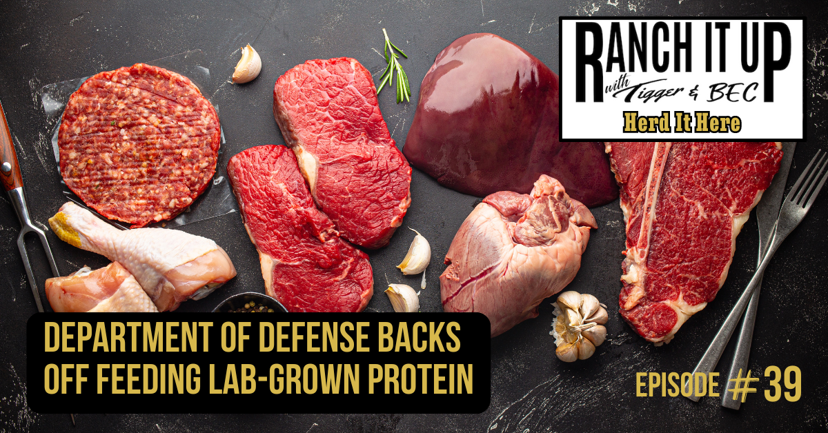 Department Of Defense Backs Off Feeding Lab-Grown Protein