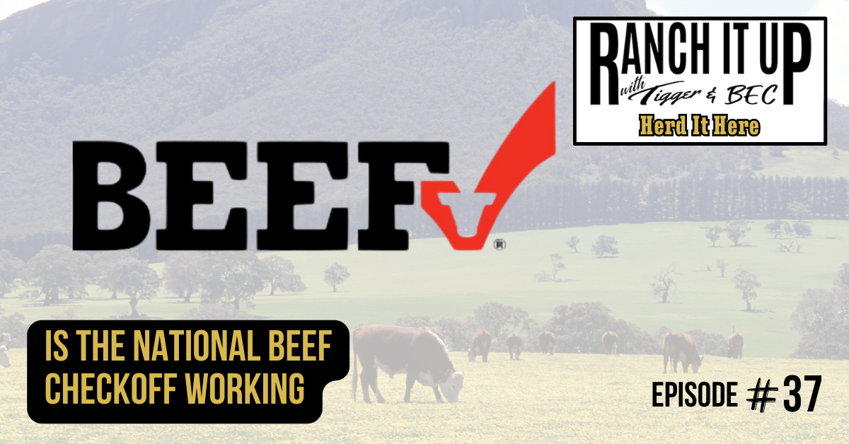 Is The National Beef Checkoff Working