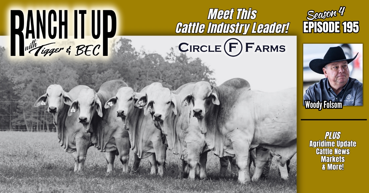 WEBSITE Ranch It Up Radio Show S4 E195 Brahman Breeder Woody Folsom Circle F Farms. Agridime Ponzi Update. Beef Industry News & Markets Jeff Erhardt Tigger Rebecca Wanner BEC