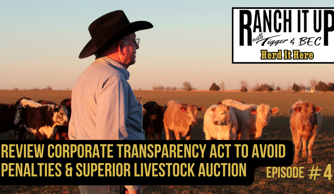 Review Corporate Transparency Act To Avoid Penalties & Superior Livestock Auction