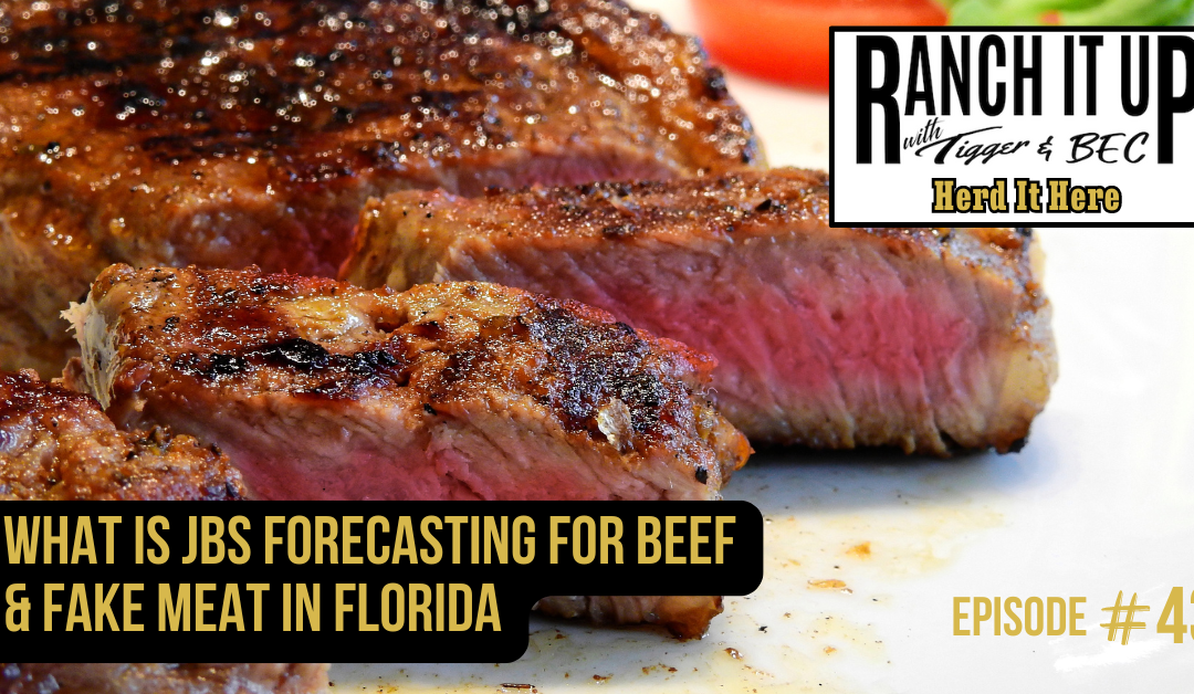 What Is JBS Forecasting For Beef & Fake Meat In Florida