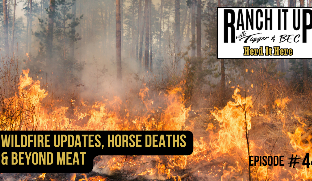 Wildfire Updates, Horse Deaths & Beyond Meat