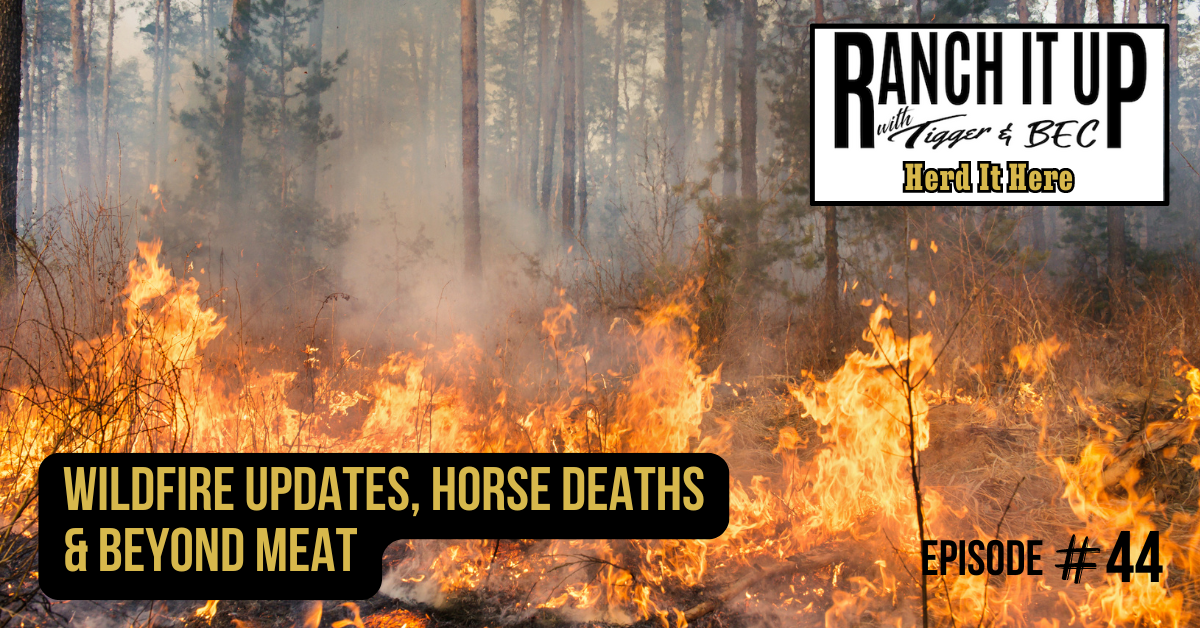 Ranch It Up Herd It Here Weekly Report - Wildfire Updates, Horse Deaths & Beyond Meat