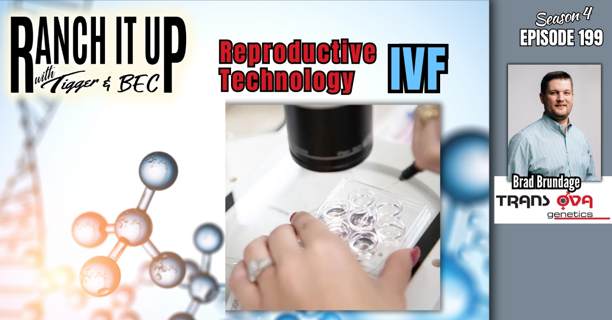 WEBSITE Ranch It Up Radio Show S4 E199 Trans Ova Genetics Reproductive Technologies. Beef Industry News & Markets Jeff Erhardt Tigger Rebecca Wanner BEC. Brad Brundage. IVF In Vitro Fertilizatio