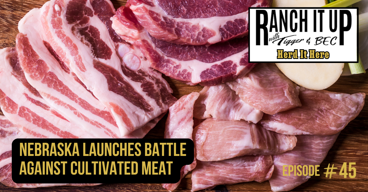 Ranch It Up Herd It Here Weekly Report - Nebraska Launches Battle Against Cultivated Meat