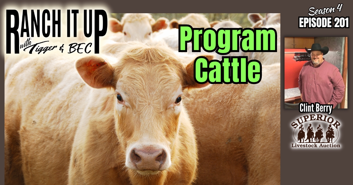 WEBSITE RANCH IT UP S4 E201 Are Program Cattle Bringing A Premium Rebecca Wanner. Jeff Erhardt. Tigger & BEC