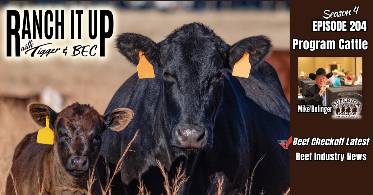 Beef Industry News From Program Cattle To The Beef Checkoff