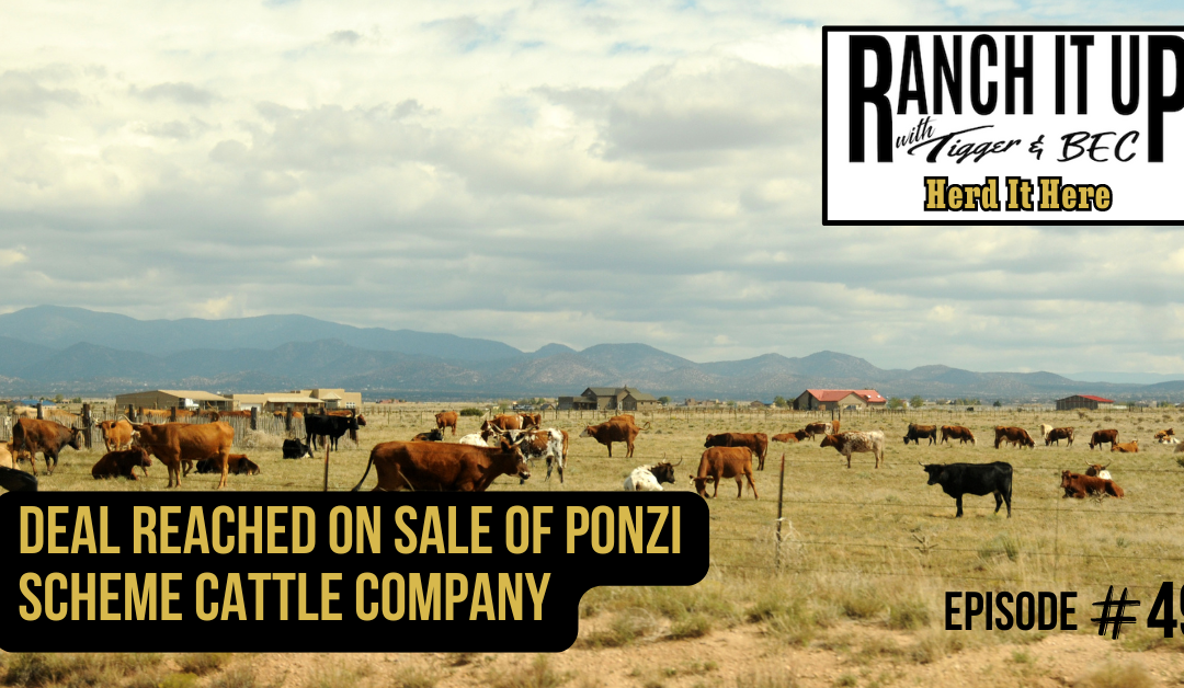 Deal Reached On Sale Of Ponzi Scheme Cattle Company