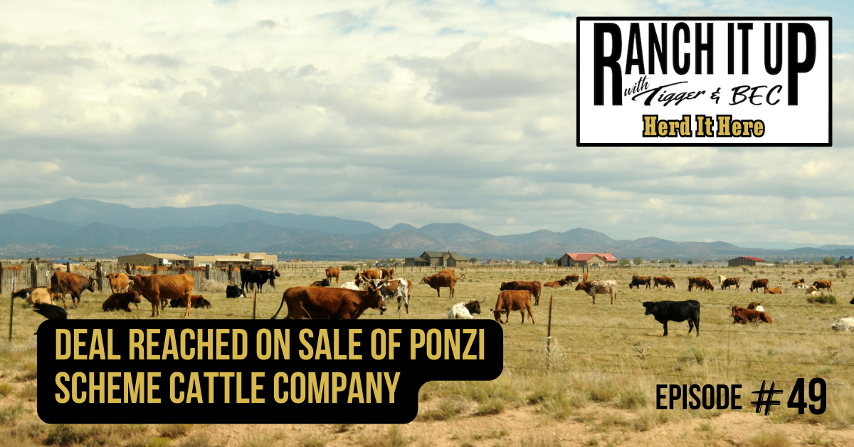 Ranch It Up Herd It Here Weekly Report - Deal Reached On Sale Of Ponzi Scheme Cattle Company