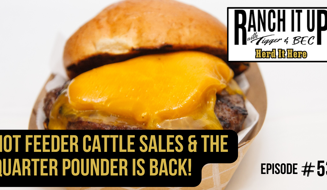 Hot Feeder Cattle Sales & The Quarter Pounder Is Back!